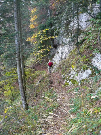 Sentier au dessus du Ruisseau du Bruyant
