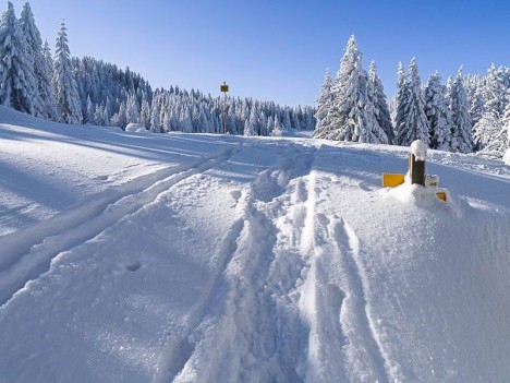 Prairie d'Arpison, la Ruchère