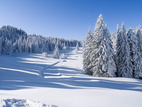 Prairie d'Arpison, la Ruchère