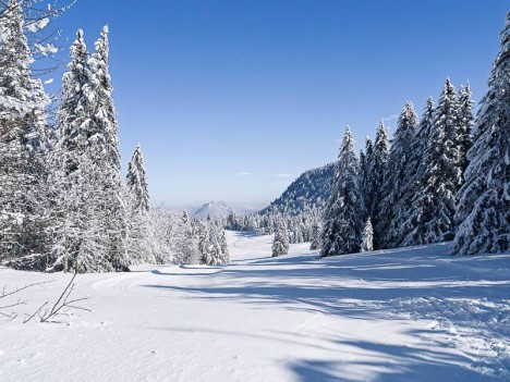 Prairie d'Arpison, la Ruchère