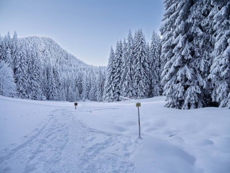 Le Pré de la Morte, la Ruchère