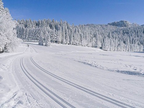La clairière des Riondette, la Ruchère