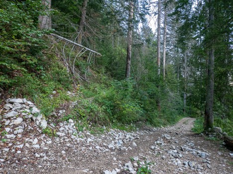 chartreuse-ruchere-sentier alienard.jpg, sept. 2023