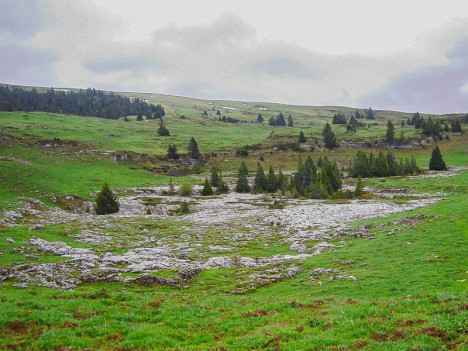 Lapiaz des ruines des haberts de Barraux