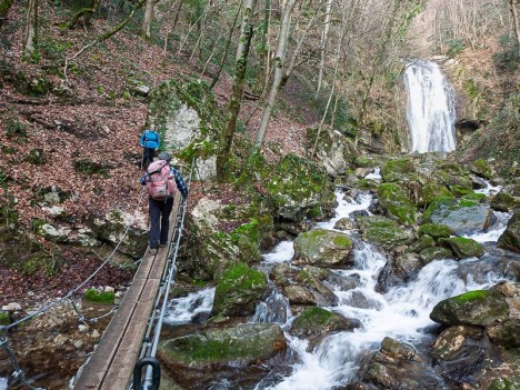 Pont de singe sur le Ruisseau d'Alloix