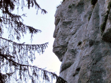 La tête d'homme…
