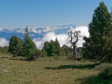 Le Mont Blanc