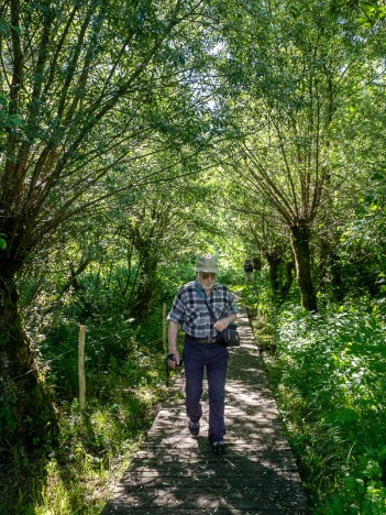 Sentier en caillebotis, Antoine Salvi, juin 2022