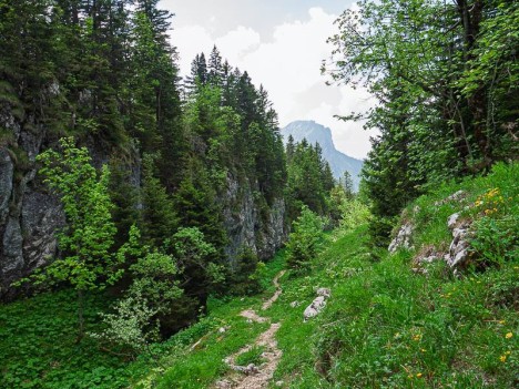 Par le Vallon de Pratcel