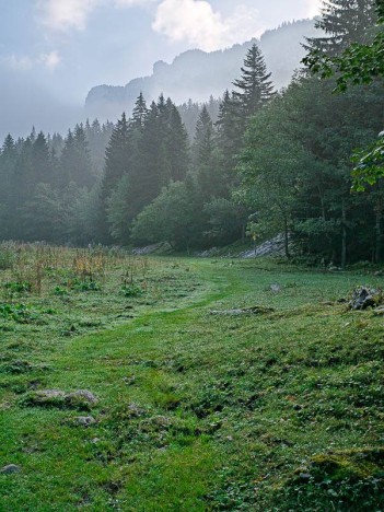 Brume sur le Pré de Pratcel