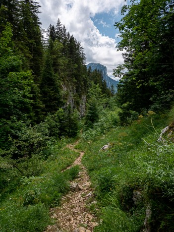 Le Vallon de Pratcel, août 2021