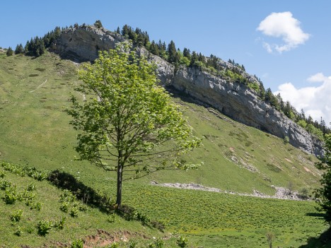 Rocher de Pré Large