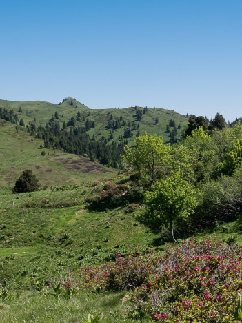 Le Mollard de la Chaleur depuis les Bannettes