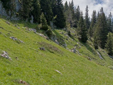 Sentier de l'Alpette des Dames