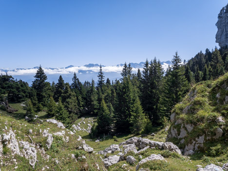 Au Col de Belles Ombres