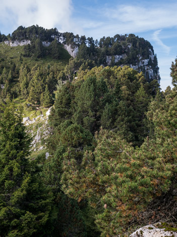 Le collet du Pré de la Rousse depuis la dépression du Charmille