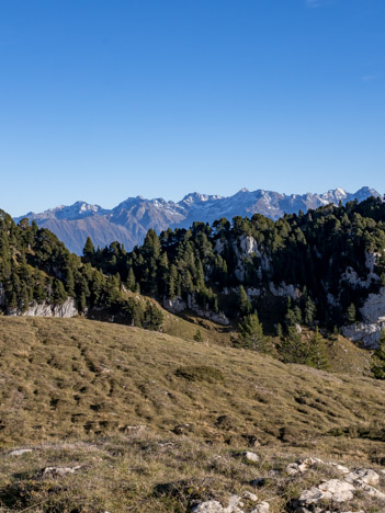 Descendant de la Croix de l'Alpe