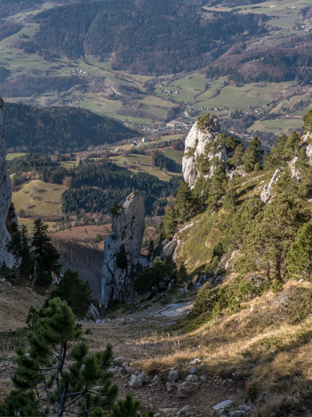 Dans la descente