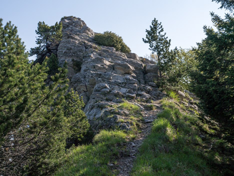 Ressaut de la crête du Mont Pellat