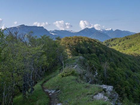 Sur la crête du Mont Pellat