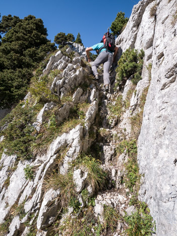 chartreuse-pas-montbrun-escalier-pm.jpg