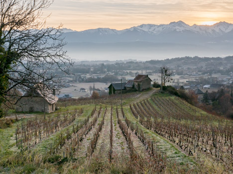 La Grande Vigne