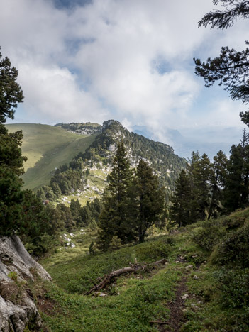 Le Col de l'Alpe depuis le collet du Pré de la Rousse