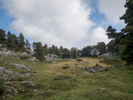 À travers le Pré de la Rousse