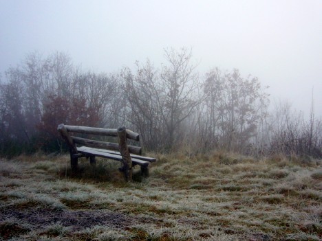 Banc du Sentier de l'Eau, nov. 2007