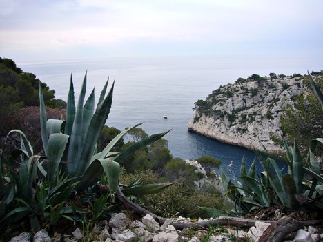 La Calanque d'en Vau, Plateau de Cadeiron, mai 2008