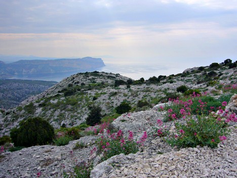 Sur le sentier Garrigue : les falaises Soubeyranes et le Cap Canaille, mai 2007
