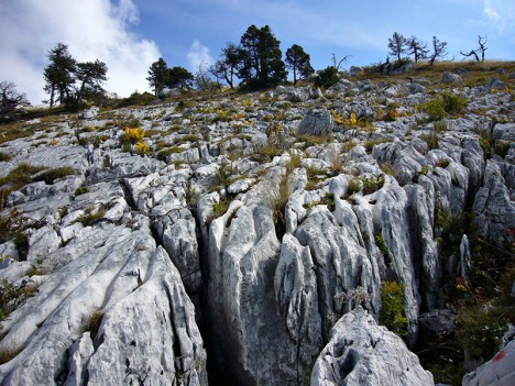 Le Lapiaz de la Rousse, sept. 2008