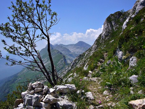 Sentier du Col Vert, 1766 m, juil. 2007