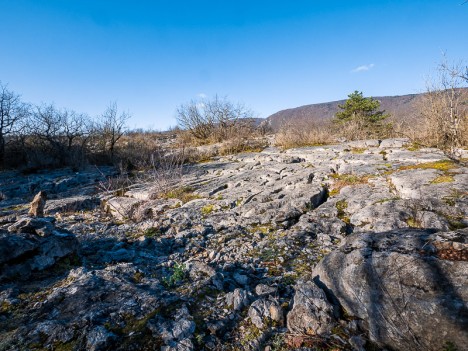 Lapiaz du massif du Fierloz