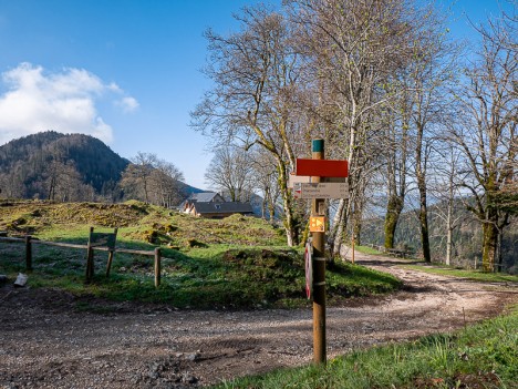 Chalet d'Arvière et vestiges de l'ancienne Chartreuse, mai 2021