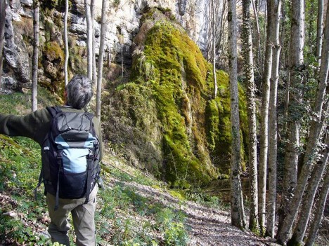 Source moussue au pied de la falaise