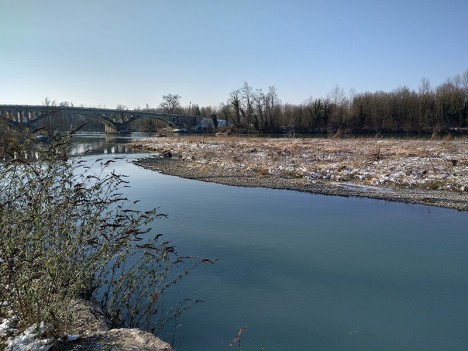 Les Brotteaux de Cordon, au bord du Rhône, fév. 2021