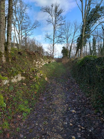 Chemin sous le Château de Cordon, fév. 2021