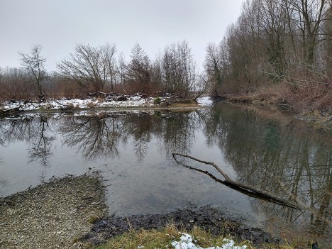 L'Ile de l'Espérance à gauche, le Rhône en face au loin, janv. 2021