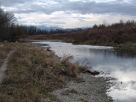 Une lône du Rhône, sauvage au SW du Lac de la Pierre, janv. 2021