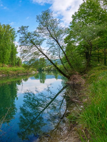 Le miroir de la lône