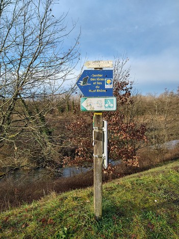Sentier des lônes et des iles du Haut-Rhône - indication, janv. 2021
