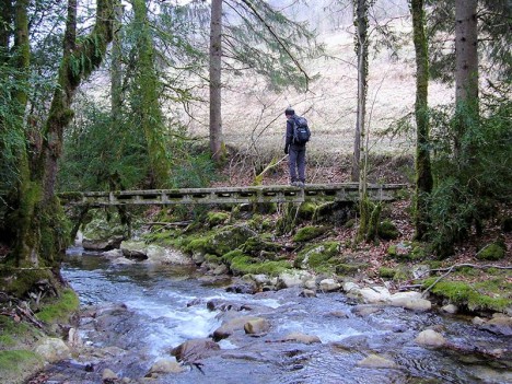 Passerelle improvisée sur la Brive
