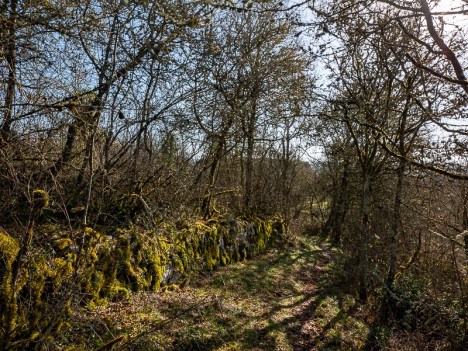 Chemin du Château de Cordon, fév. 2021