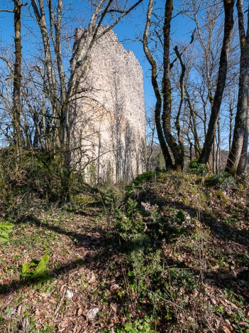 Le haut mur des vestiges NW du Château de Cordon, fév. 2021