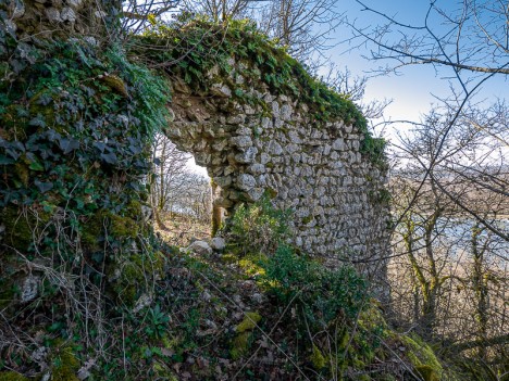 Sortie du hallier au pied du mur ruiné ouvert d'un trou caractéristique, fév. 2021