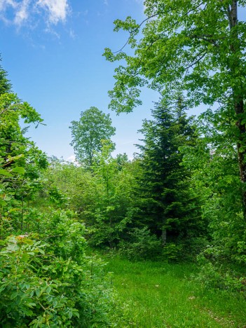 Le Châtelard, à travers le Fays