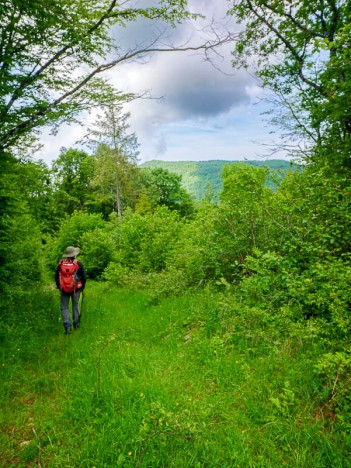 Le chemin du Châtelard