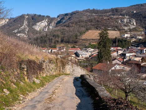 Retour à Cerdon par le Chemin des Vignes, janv. 2020