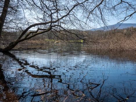 Le Lac de Corne-Bœuf ou Marais de la Cense
